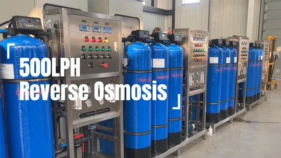 500lph 급수 여과기 기계 급수정화 체계 RO 상업적인 사용을 위한 물 처리 역삼투 방식